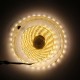 5M 4Pins Waterproof SMD2835 Double Color Warm White and Pure White LED Strip Light DC12V 5M 4Pins Waterproof SMD2835 Double Color Warm White and Pure White LED Strip Light DC12V