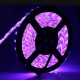5M 5050 RGB Waterproof 300 LED Flexible Rope Strip Light + 24 Key Controller + 12V Power Adapter 5M 5050 RGB Waterproof 300 LED Flexible Rope Strip Light + 24 Key Controller + 12V Power Adapter