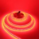 5M 5050 SMD 120LED/M Not-waterproof RGB Pure White Warm White LED Flexible Strip Light DC12V 5M 5050 SMD 120LED/M Not-waterproof RGB Pure White Warm White LED Flexible Strip Light DC12V