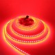 5M 5050 SMD 120LED/M Not-waterproof RGB Pure White Warm White LED Flexible Strip Light DC12V