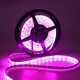 5M 5050 SMD RGB 300 LED Strip Light Waterproof IP65 Flexible Tape Lamp for Outdoor Use 12VDC