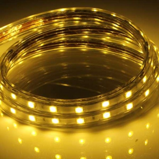 5M 5050 Waterproof IP67 Flexible Led Strip Light For XMAS Home Decor 110V