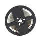 5M 5MM Width 60W SMD3014 Not-waterproof Pure White Warm White LED Strip Light DC12V 5M 5MM Width 60W SMD3014 Not-waterproof Pure White Warm White LED Strip Light DC12V