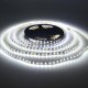 5M 5MM Width 60W SMD3014 Not-waterproof Pure White Warm White LED Strip Light DC12V 5M 5MM Width 60W SMD3014 Not-waterproof Pure White Warm White LED Strip Light DC12V