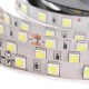 5M 60W 5050 SMD Non-waterproof 300LEDs Strip Light Pure White Warm White DC24V