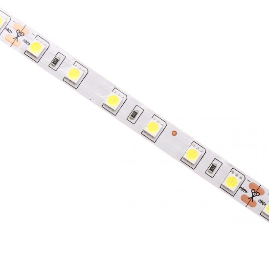 5M 60W 5050 SMD Non-waterproof 300LEDs Strip Light Pure White Warm White DC24V