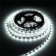 5M 60W 5050 SMD Non-waterproof 300LEDs Strip Light Pure White Warm White DC24V 5M 60W 5050 SMD Non-waterproof 300LEDs Strip Light Pure White Warm White DC24V