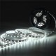 5M 60W 5050 SMD Non-waterproof 300LEDs Strip Light Pure White Warm White DC24V 5M 60W 5050 SMD Non-waterproof 300LEDs Strip Light Pure White Warm White DC24V