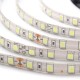 5M 60W 5050 SMD Waterproof 300LEDs Strip Light Pure White Warm White for Home Decor DC24V