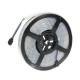 5M RGB SMD5050 Waterproof 600 LED Double Row Tube Flexible Strip Light Rope Lamp DC12V 5M RGB SMD5050 Waterproof 600 LED Double Row Tube Flexible Strip Light Rope Lamp DC12V