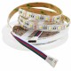 5M RGBW RGBWW 4 In 1 SMD5050 300LEDs Strip Light Non-waterproof Indoor Use DC12V 5M RGBW RGBWW 4 In 1 SMD5050 300LEDs Strip Light Non-waterproof Indoor Use DC12V