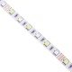 5M RGBW RGBWW SMD 5050 Non-Waterproof LED Flexible Strip Light for Christmas Decor DC12V