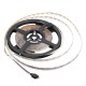 5M SMD 3528 RGB 300 LED Waterproof Strip Light For Xmas Holiday Decor Power Supply DC12V 5M SMD 3528 RGB 300 LED Waterproof Strip Light For Xmas Holiday Decor Power Supply DC12V
