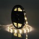 5M SMD 5050 300 LED Waterproof RGBWW Strip Flexible Tape Light Christmas Home Decoration Lamp DC12V