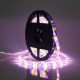 5M SMD 5050 300 LED Waterproof RGBWW Strip Flexible Tape Light Christmas Home Decoration Lamp DC12V 5M SMD 5050 300 LED Waterproof RGBWW Strip Flexible Tape Light Christmas Home Decoration Lamp DC12V