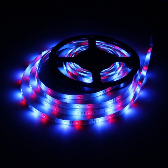 5M SMD2835 Waterproof 300 LED RGB Flexible Strip Light + Mini 24 Keys IR Remote Controller DC12V 5M SMD2835 Waterproof 300 LED RGB Flexible Strip Light + Mini 24 Keys IR Remote Controller DC12V