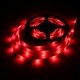 5M SMD2835 Waterproof 300 LED RGB Flexible Strip Light + Mini 24 Keys IR Remote Controller DC12V