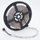 5M SMD2835 Waterproof 300 LED RGB Flexible Strip Light + Mini 24 Keys IR Remote Controller DC12V 5M SMD2835 Waterproof 300 LED RGB Flexible Strip Light + Mini 24 Keys IR Remote Controller DC12V