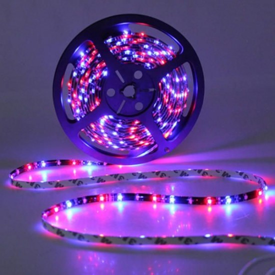 5M SMD3528 Non-waterproof RGB 300 LED Strip Light Flexible String Lamp + 44 Keys Controller DC12V