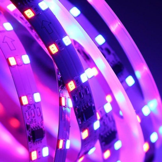 5M SMD3528 R G B Three Rows Non-waterproof LED Strip Light with DC Female Connector DC12V 5M SMD3528 R G B Three Rows Non-waterproof LED Strip Light with DC Female Connector DC12V