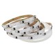 5M SMD3528 R G B Three Rows Non-waterproof LED Strip Light with DC Female Connector DC12V 5M SMD3528 R G B Three Rows Non-waterproof LED Strip Light with DC Female Connector DC12V