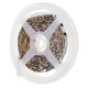 5M SMD3528 R G B Three Rows Non-waterproof LED Strip Light with DC Female Connector DC12V 5M SMD3528 R G B Three Rows Non-waterproof LED Strip Light with DC Female Connector DC12V