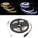 5M SMD3528 White/Warm White 600 LED Waterproof Flexible Strip Light Kit With 3 Keys Dimmer DC12V