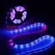 5M SMD5050 RGB Dream Color 1903 Waterproof IP67 LED Flexible Strip Light Lamp DC12V 5M SMD5050 RGB Dream Color 1903 Waterproof IP67 LED Flexible Strip Light Lamp DC12V