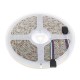 5M SMD5050 Waterproof 300LEDs Double Color Temperature Warm White+Pure White Flexible Strip Light DC12V 5M SMD5050 Waterproof 300LEDs Double Color Temperature Warm White+Pure White Flexible Strip Light DC12V