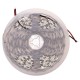 5M SMD5050 Wave Length 480nm Ice Blue Non-waterproof 300 LED Strip Light for Car Home Decor DC12V 5M SMD5050 Wave Length 480nm Ice Blue Non-waterproof 300 LED Strip Light for Car Home Decor DC12V