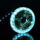 5M SMD5050 Wave Length 480nm Ice Blue Non-waterproof 300 LED Strip Light for Car Home Decor DC12V 5M SMD5050 Wave Length 480nm Ice Blue Non-waterproof 300 LED Strip Light for Car Home Decor DC12V