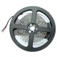 5M White/Warm White 5630 SMD Non-waterproof 300 LED Strip Light DC12V 5M White/Warm White 5630 SMD Non-waterproof 300 LED Strip Light DC12V