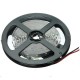 5M White/Warm White 5630 SMD Non-waterproof 300 LED Strip Light DC12V 5M White/Warm White 5630 SMD Non-waterproof 300 LED Strip Light DC12V