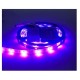 5m 5050 RGB 30LED 12V Light strip 5050 RGB Soft Light Double Panel Blue Glue Waterproof 5m 5050 RGB 30LED 12V Light strip 5050 RGB Soft Light Double Panel Blue Glue Waterproof