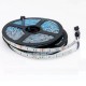 5m 5050 RGB 30LED 12V Light strip 5050 RGB Soft Light Double Panel Blue Glue Waterproof