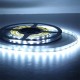 5pc 5M Non-Waterproof Cool White 3528 SMD 300 LED Strip Light DC12V for DIY Indoor Home Car 5pc 5M Non-Waterproof Cool White 3528 SMD 300 LED Strip Light DC12V for DIY Indoor Home Car