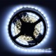5pc 5M Non-Waterproof Cool White 3528 SMD 300 LED Strip Light DC12V for DIY Indoor Home Car 5pc 5M Non-Waterproof Cool White 3528 SMD 300 LED Strip Light DC12V for DIY Indoor Home Car