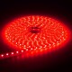 6M 5050 LED SMD Outdoor Waterproof Flexible Tape Rope Strip Light Xmas 220V