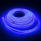 AC220V 5M Waterproof SMD5730 5630 Dimmable LED Strip Rope Light EU Plug for Home Decoration AC220V 5M Waterproof SMD5730 5630 Dimmable LED Strip Rope Light EU Plug for Home Decoration