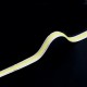 DC12V 24V 50CM COB Pure White CSP 147LED Flexible Strip Light Ribbon Lamp for Home Car Decoration DC12V 24V 50CM COB Pure White CSP 147LED Flexible Strip Light Ribbon Lamp for Home Car Decoration