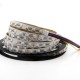 DC12V 5IN1 RGB+CCT LED Strip Light 5050 Flexible Tape Non-waterproof Indoor Lamp Home Decor DC12V 5IN1 RGB+CCT LED Strip Light 5050 Flexible Tape Non-waterproof Indoor Lamp Home Decor