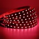 DC12V 5IN1 RGB+CCT LED Strip Light 5050 Flexible Tape Non-waterproof Indoor Lamp Home Decor DC12V 5IN1 RGB+CCT LED Strip Light 5050 Flexible Tape Non-waterproof Indoor Lamp Home Decor