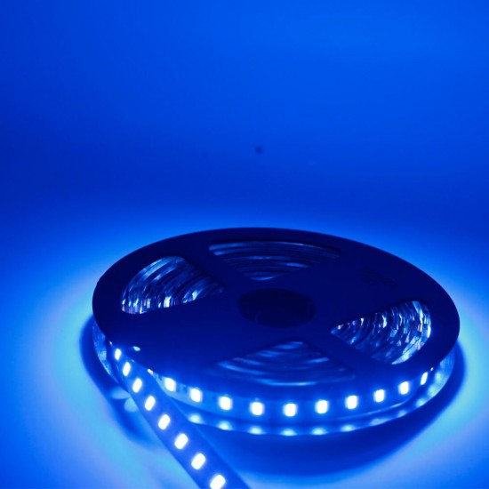 DC12V 5IN1 RGB+CCT LED Strip Light 5050 Flexible Tape Non-waterproof Indoor Lamp Home Decor DC12V 5IN1 RGB+CCT LED Strip Light 5050 Flexible Tape Non-waterproof Indoor Lamp Home Decor