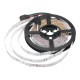 DC12V 5M Non-waterproof 3528SMD RGB LED Strip Lights US EU Power Adapter + 24 Keys Remote Control DC12V 5M Non-waterproof 3528SMD RGB LED Strip Lights US EU Power Adapter + 24 Keys Remote Control