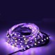 DC12V 5M RGB CCT 5050 5054 SMD LED Non-waterproof Strip String Light Holiday Home Decoration DC12V 5M RGB CCT 5050 5054 SMD LED Non-waterproof Strip String Light Holiday Home Decoration