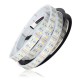 DC12V Double Rows Waterproof IP67 Flexible 5050 RGBWW 5M 600LED Strip Light for Indoor Outdoor Camping Home Decoration