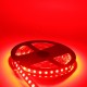 DC24V 5IN1 RGB+CCT Non-waterproof LED Strip Light 5050 Flexible Tape Indoor Lighting Home Lamp Decor