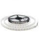 Double Row RGBW Waterproof 5050 5M Black White PCB 600LED Tape Strip Light DC12V With Silicone Tube for Outdoor Courtyard Double Row RGBW Waterproof 5050 5M Black White PCB 600LED Tape Strip Light DC12V With Silicone Tube for Outdoor Courtyard
