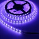 Double Row RGBW Waterproof 5050 5M Black White PCB 600LED Tape Strip Light DC12V With Silicone Tube for Outdoor Courtyard Double Row RGBW Waterproof 5050 5M Black White PCB 600LED Tape Strip Light DC12V With Silicone Tube for Outdoor Courtyard