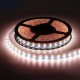 Double Row RGBW Waterproof 5050 5M Black White PCB 600LED Tape Strip Light DC12V With Silicone Tube for Outdoor Courtyard Double Row RGBW Waterproof 5050 5M Black White PCB 600LED Tape Strip Light DC12V With Silicone Tube for Outdoor Courtyard